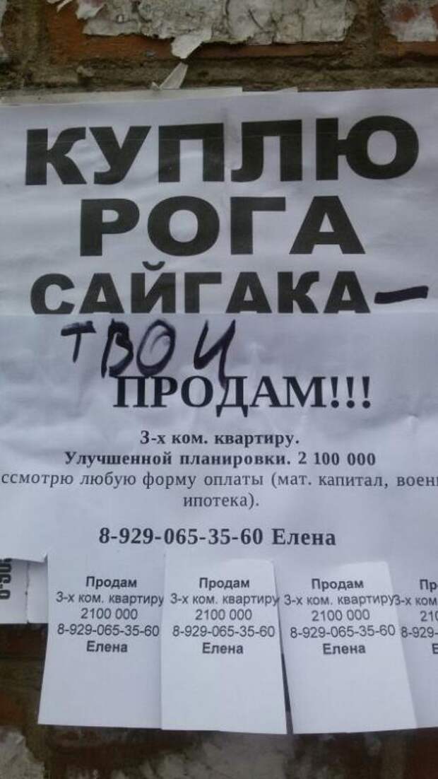 Всякая прикольная всячина, фото и картинки 59