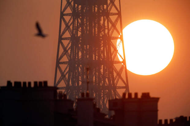 Весна за окном Весна за окном