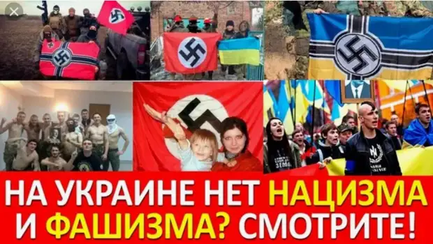 https://r3.mt.ru/r16/photoBA13/20748931041-0/png/bp.webp