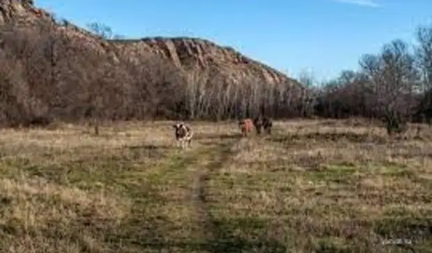 В объективе: топ-15 лучших локаций для фотосессий в Ростовской области в мае
