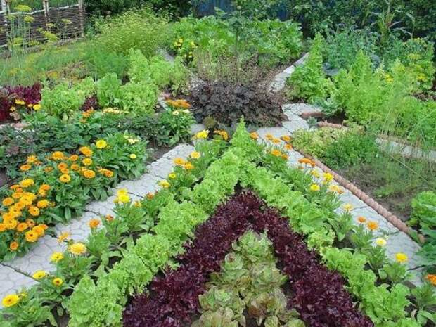 Огород, возведенный в ранг искусства. 25 декоративных огородов для вдохновения