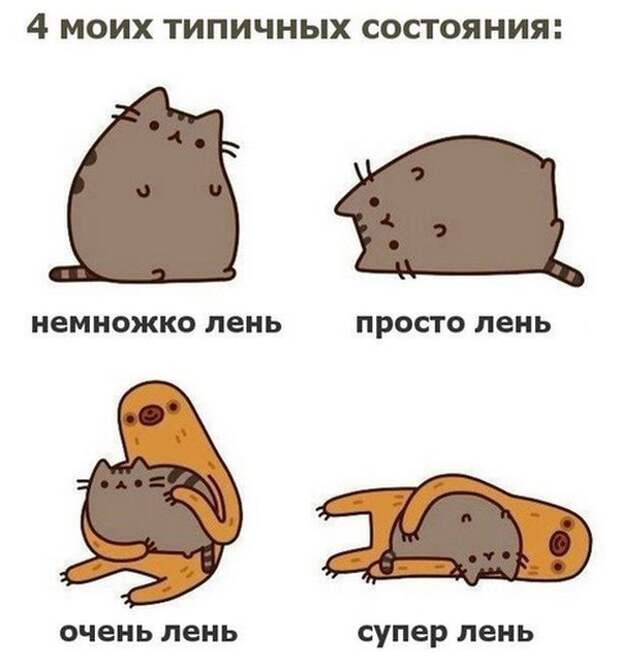 Подборка веселых фото и прикольных картинок с надписями (10 фото)