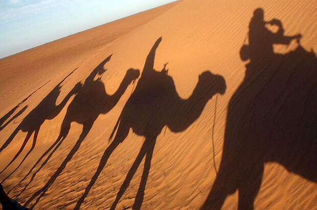 Sahara Desert Sahara Desert