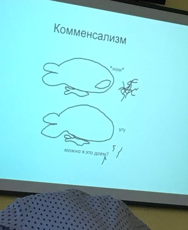 www.vsyako.net