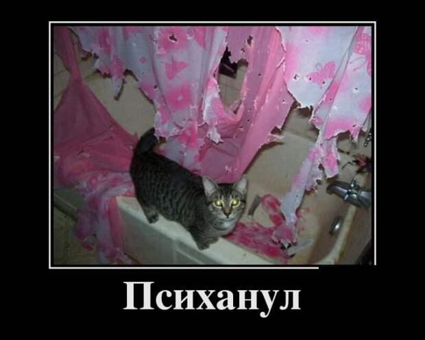 Демотиваторы