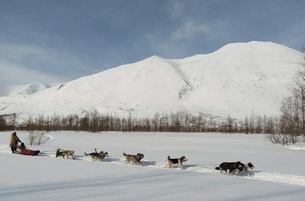 Кочевникам разрешат регистрироваться в районе кочевания