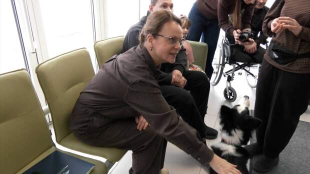 Цивилева ознакомилась с программой канистерапии для реабилитации участников СВО