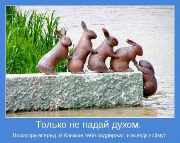 Прикольные и просто красивые картинки