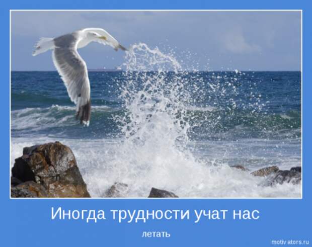 Мотиваторы для раздумий.