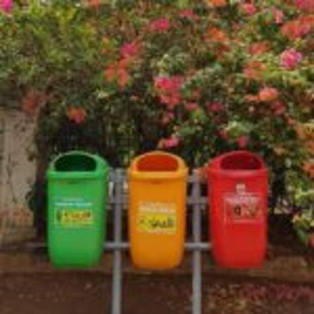 zero-waste lifestyle