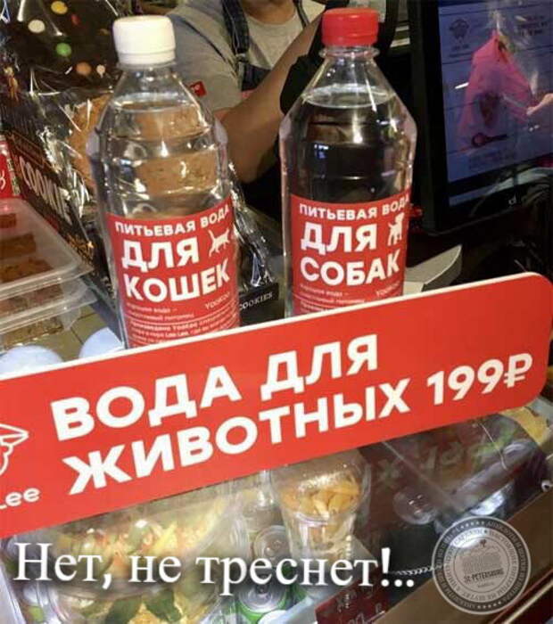 Нет, не треснет!..