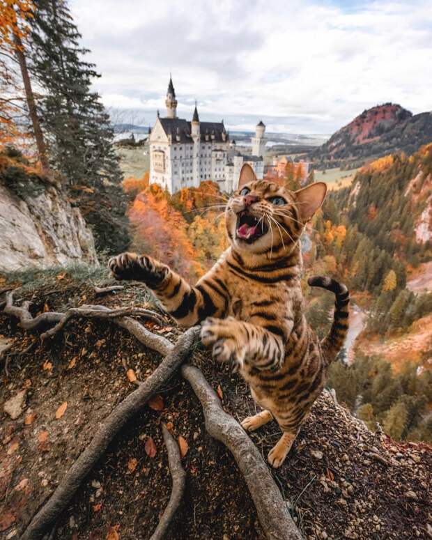 интересные фото на pixmafia.com