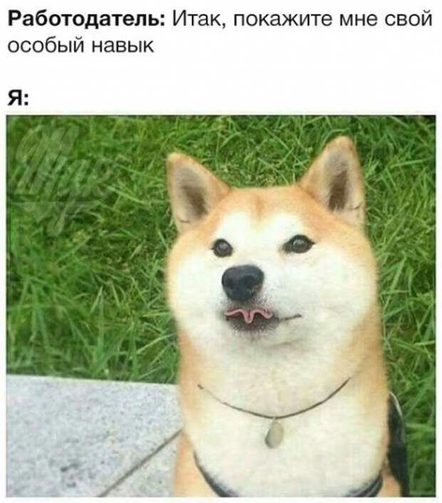 Новые прикольные фотомемы (23 шт)