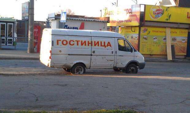Прикольные картинки