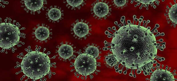 Туристка из Китая привезла на Борнео птичий грипп H7N9