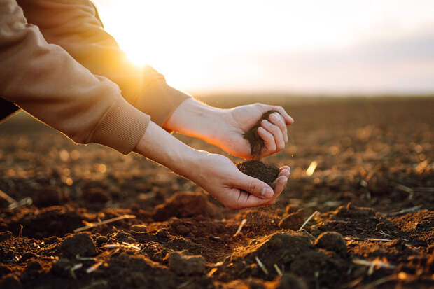 Под Ульяновском из-за опасных отходов компании оказалась загрязнена почва