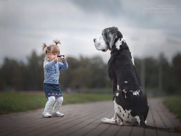Энди Селиверстов фотографии детей и их больших собаках 25