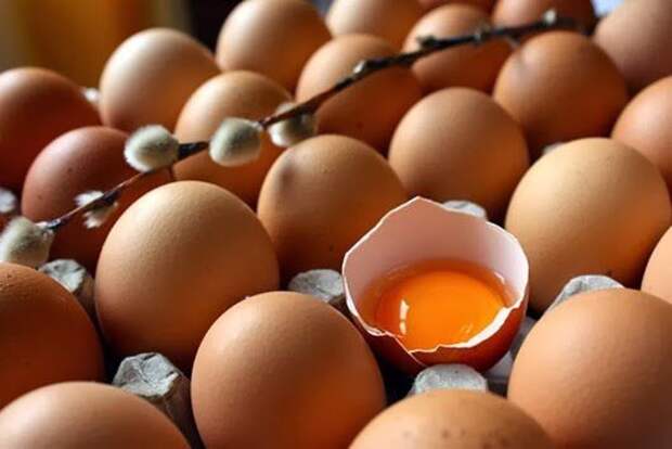 продукты, свежесть