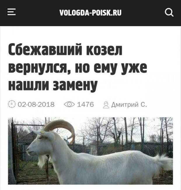 Интригующие заголовки отечественных СМИ завораживают Интригующие заголовки отечественных СМИ завораживают