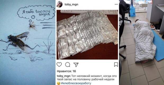 Как не сойти с ума от безделья, когда начальник в отпуске Как не сойти с ума от безделья, когда начальник в отпуске