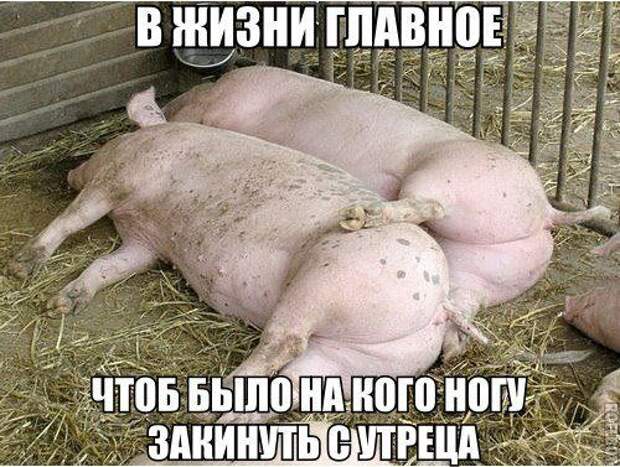 Позитивный пост Позитивный пост
