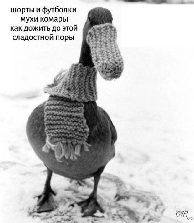 Со вторника по четверг объявлено оранжевый уровень погодного беспредела в Москве