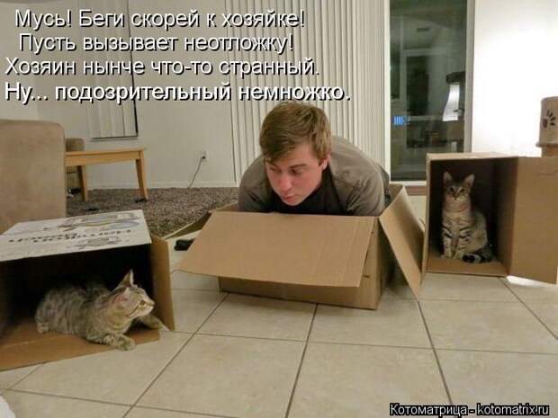 Котоматрица: Мусь! Беги скорей к хозяйке! Пусть вызывает неотложку! Хозяин нынче что-то странный. Ну... подозрительный немножко.