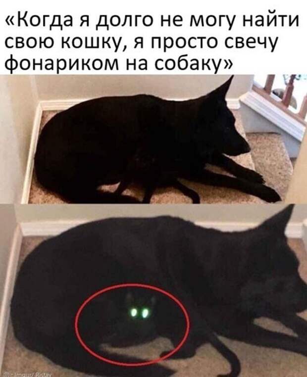Смешные и познавательные картинки Смешные и познавательные картинки