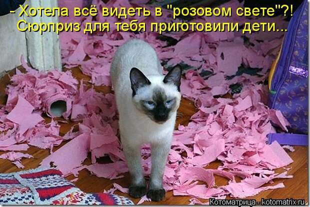 Котоматрица: - Хотела всё видеть в "розовом свете"?! Сюрприз для тебя приготовили дети...