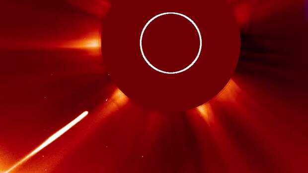 Исчезла самая яркая комета 2026 года