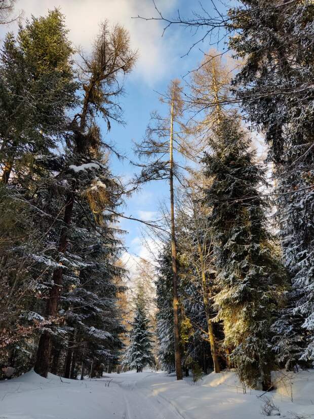 Красота природы на фотографиях