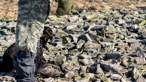 «СТРАНА.ua»: украинский пограничник запросил убежище в Румынии