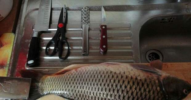 Как выбрать кухонные ножи для чистки рыбы и не только