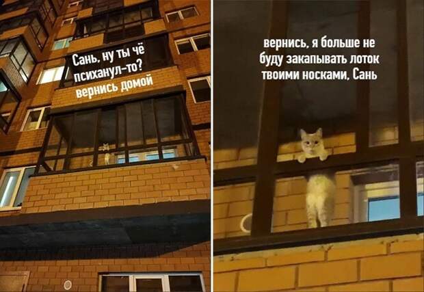 Сань