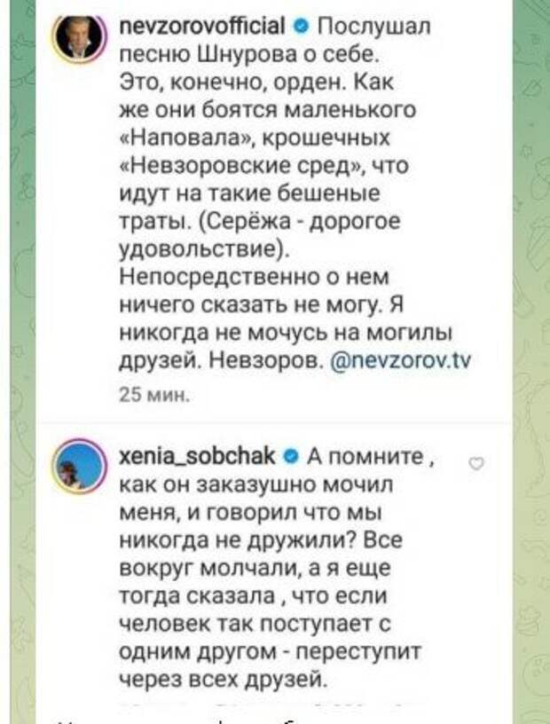 Невзоров оценил песню Шнура