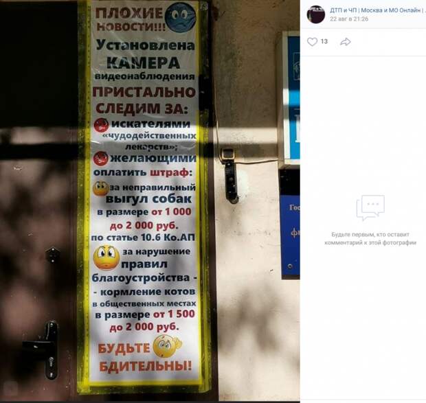 За выгул и кормление животных на улице Расковой жители получат штраф