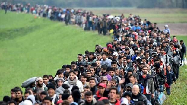 Дания вводит новые правила для мигрантов: теперь им придется работать