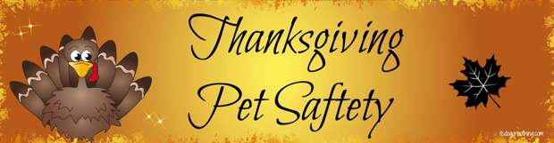 It's Dog or Nothing Thanksgiving