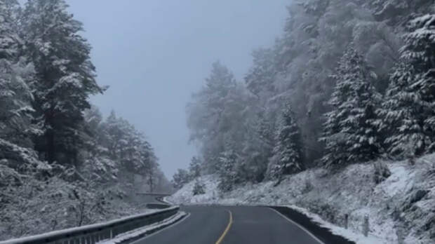 Зима в Республике Алтай / Фото: скриншот из видео / dmitry_surkow
