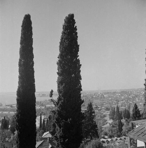 clip_image042