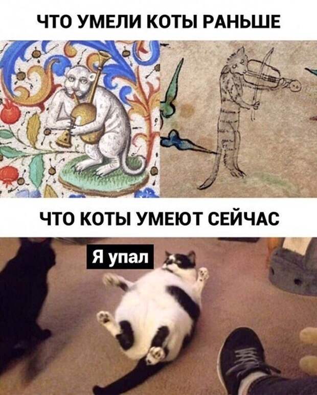 Смешные и познавательные картинки Смешные и познавательные картинки