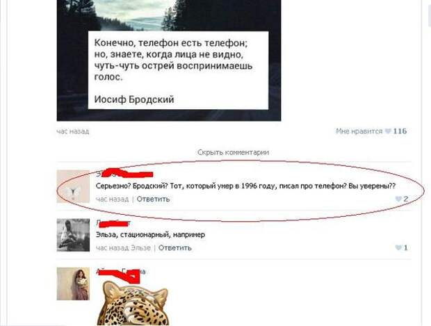 Убойные комментарии из социальных сетей (33 картинки)