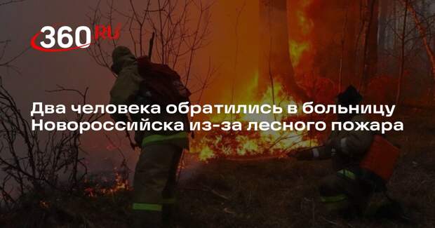 Два человека обратились в больницу Новороссийска из-за лесного пожара