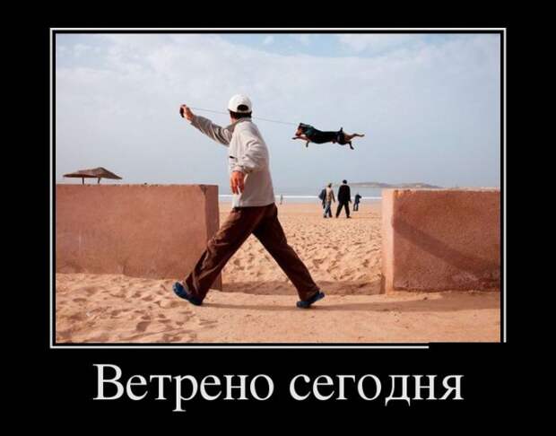 Демотиваторы (30 фото)