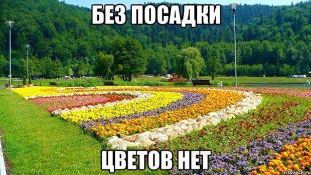 Подборка автоприколов (39 фото)