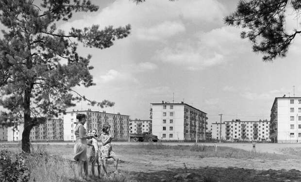 Дом, в котором мечтали жить советские граждане. История появления хрущевок