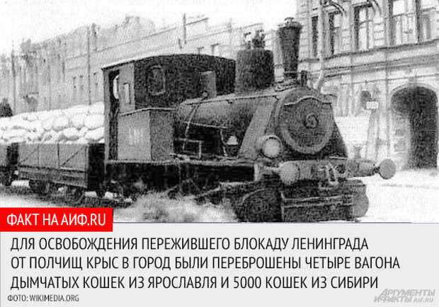 Непокоренный город. 10 фактов о блокаде Ленинграда