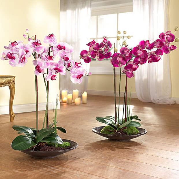 Субстрат для орхидей Орхидеи