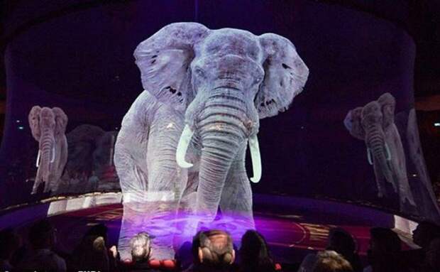 Немецкий цирк заменил живых зверей голограммами