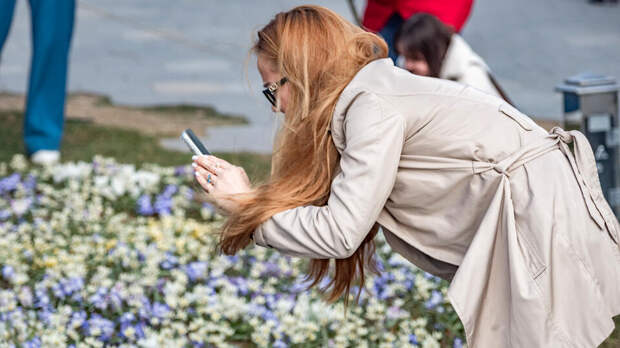 Сергунина рассказала о появлении первоцветов на ВДНХ